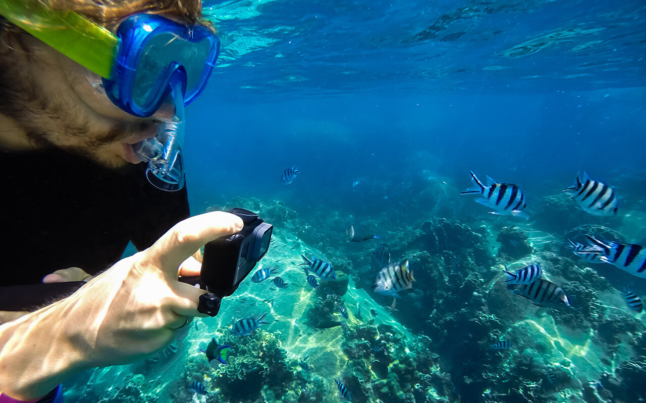 Best Cameras for Snorkeling