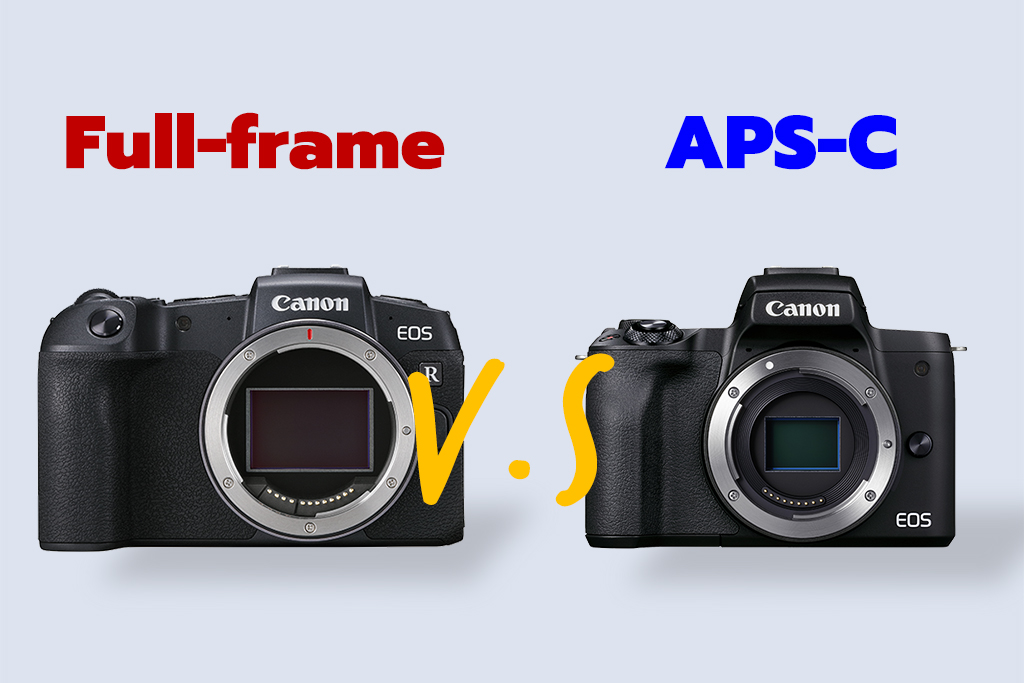 sony frame vs aps c
